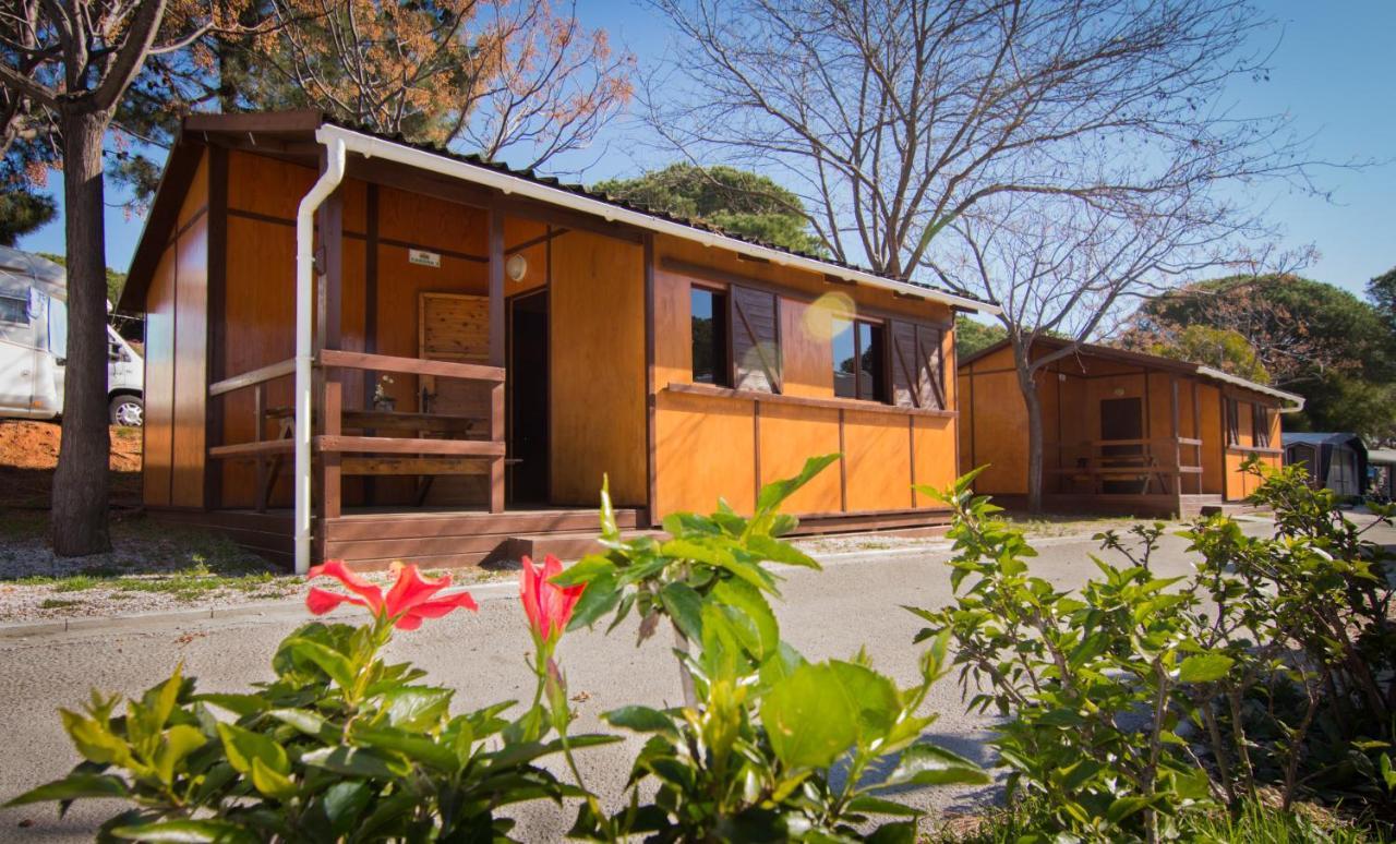 Two-Bedroom Bungalow,996508279:JPEG