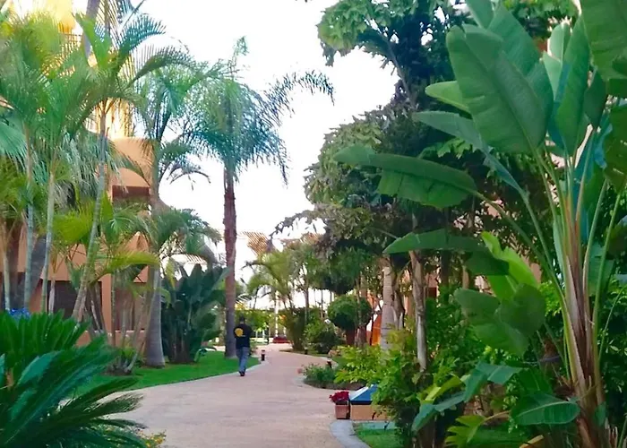 Marbella Alicate Beachfront - Luxury Apartment-1